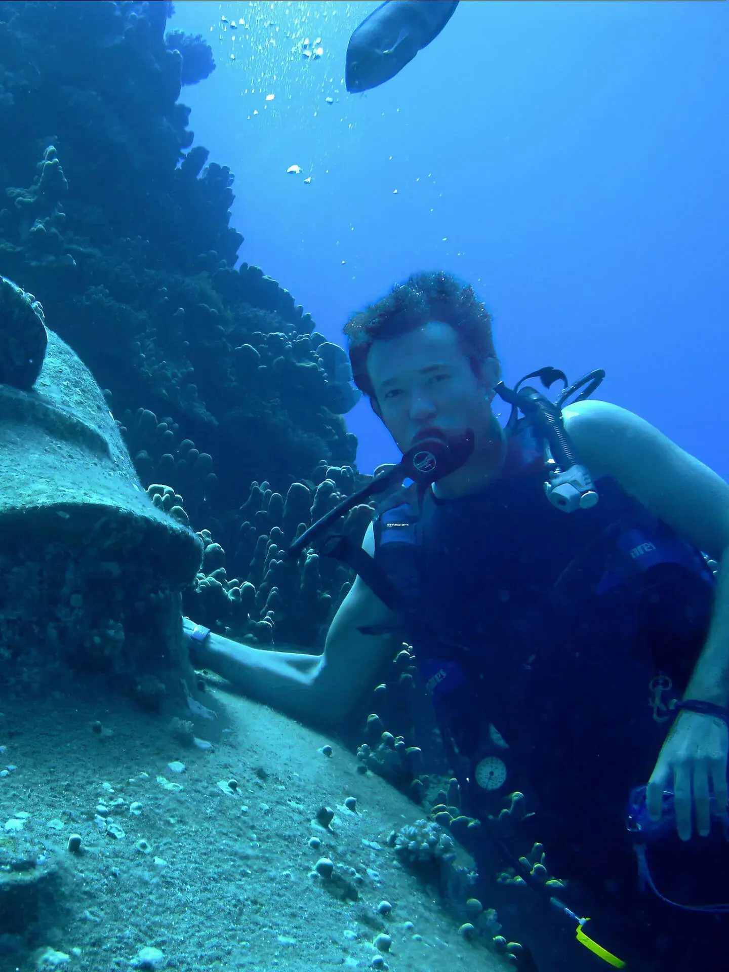 A young Tom Williams scuba diving beside a coral reef, one hand resting on a large coral head.